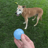 Dog Fetch Balls - Farm To Pet - Flyclothing LLC