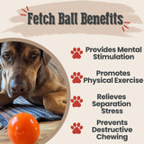 Dog Fetch Balls - Farm To Pet - Flyclothing LLC
