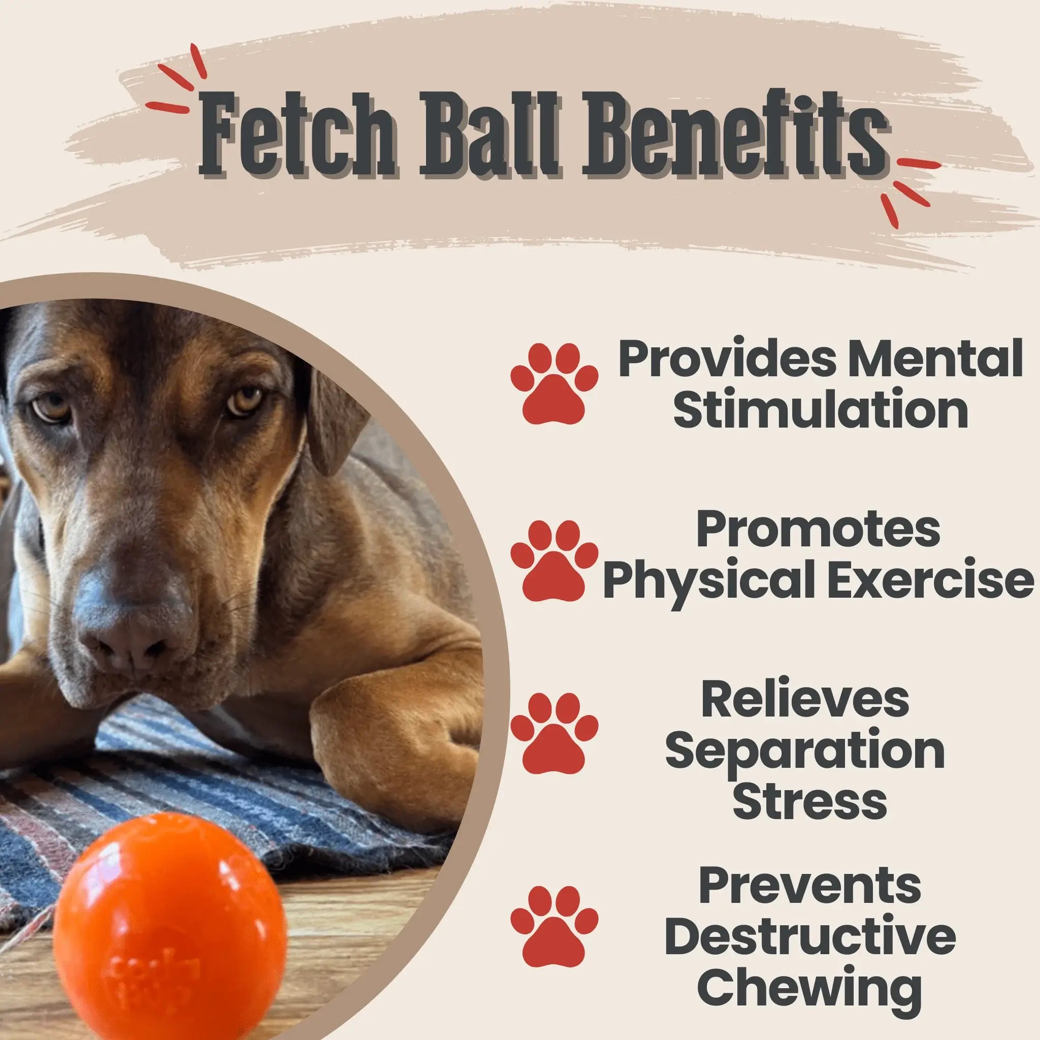 Dog Fetch Balls - Farm To Pet - Flyclothing LLC