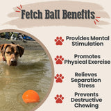 Dog Fetch Balls - Farm To Pet - Flyclothing LLC