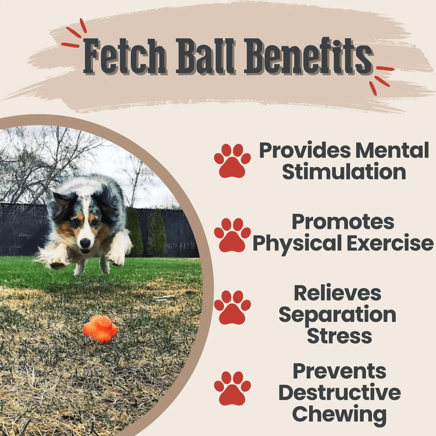 Dog Fetch Balls - Farm To Pet - Flyclothing LLC