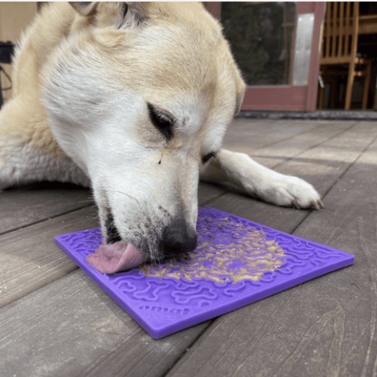 Dog Lick Mats - Farm To Pet - Flyclothing LLC