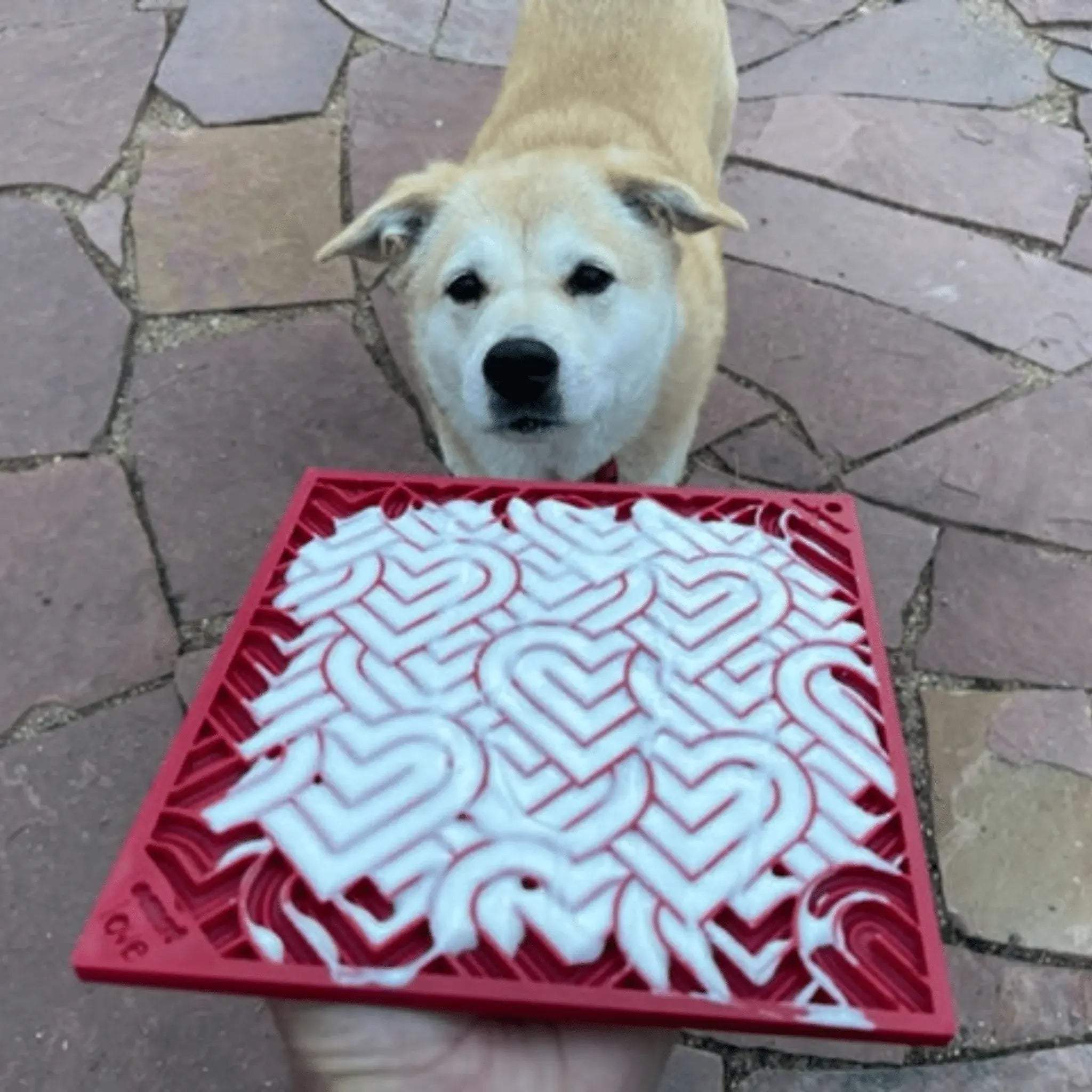Dog Lick Mats - Farm To Pet - Flyclothing LLC