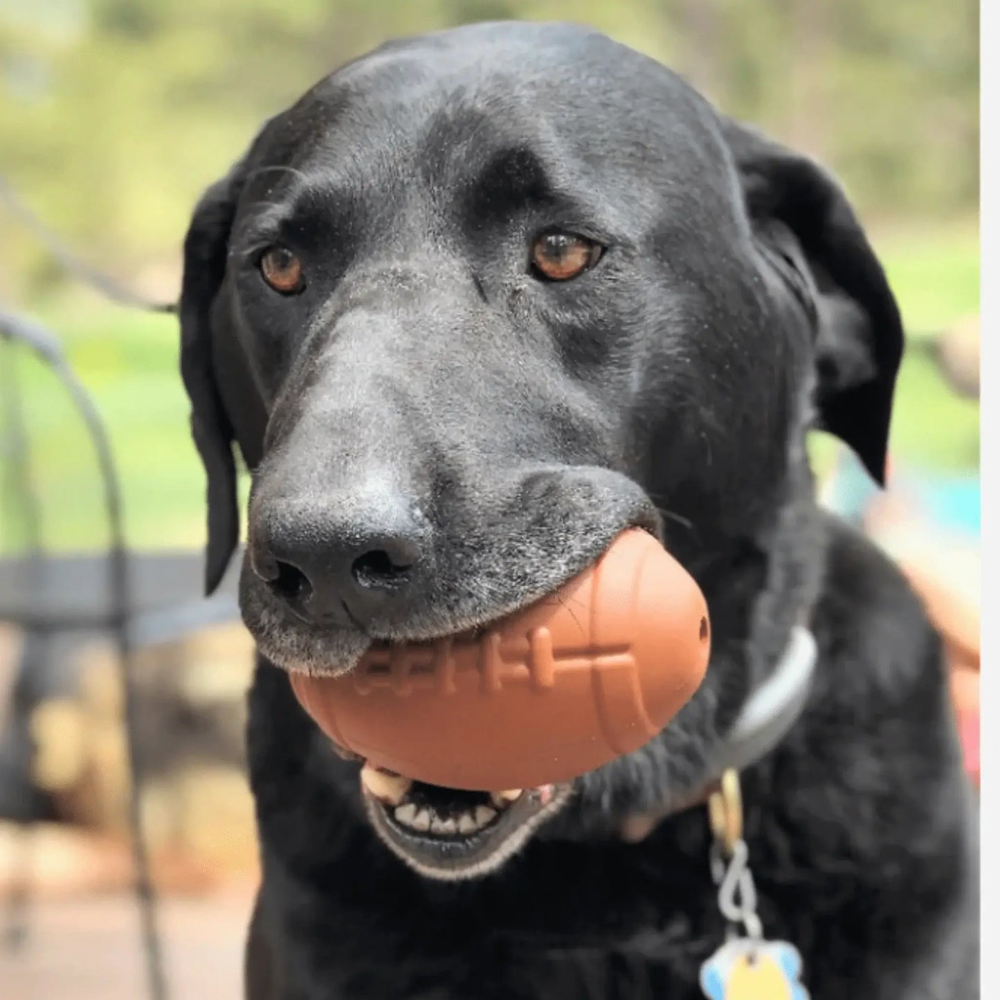 Dog Treat Dispensers - Farm To Pet - Flyclothing LLC