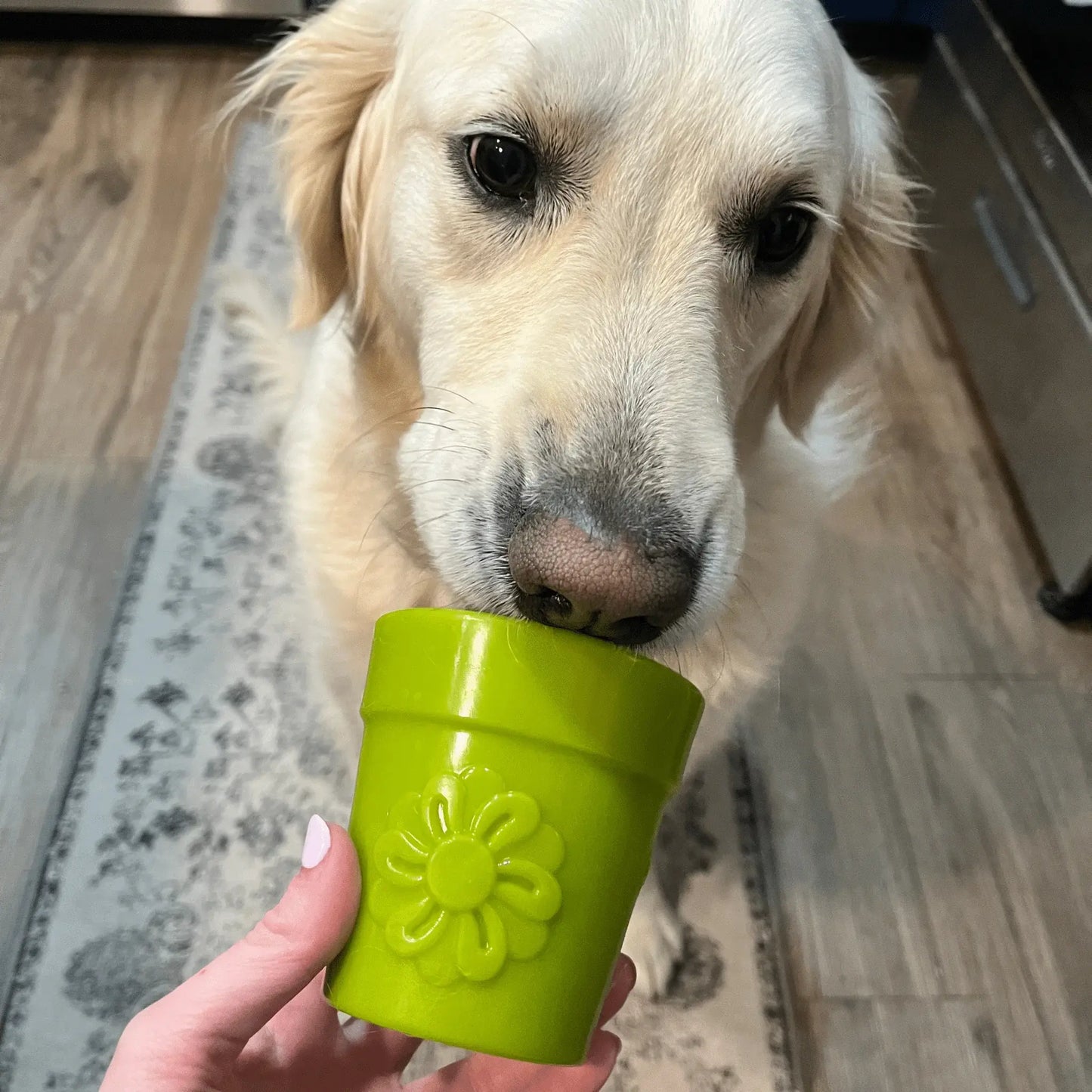Dog Treat Dispensers - Farm To Pet - Flyclothing LLC