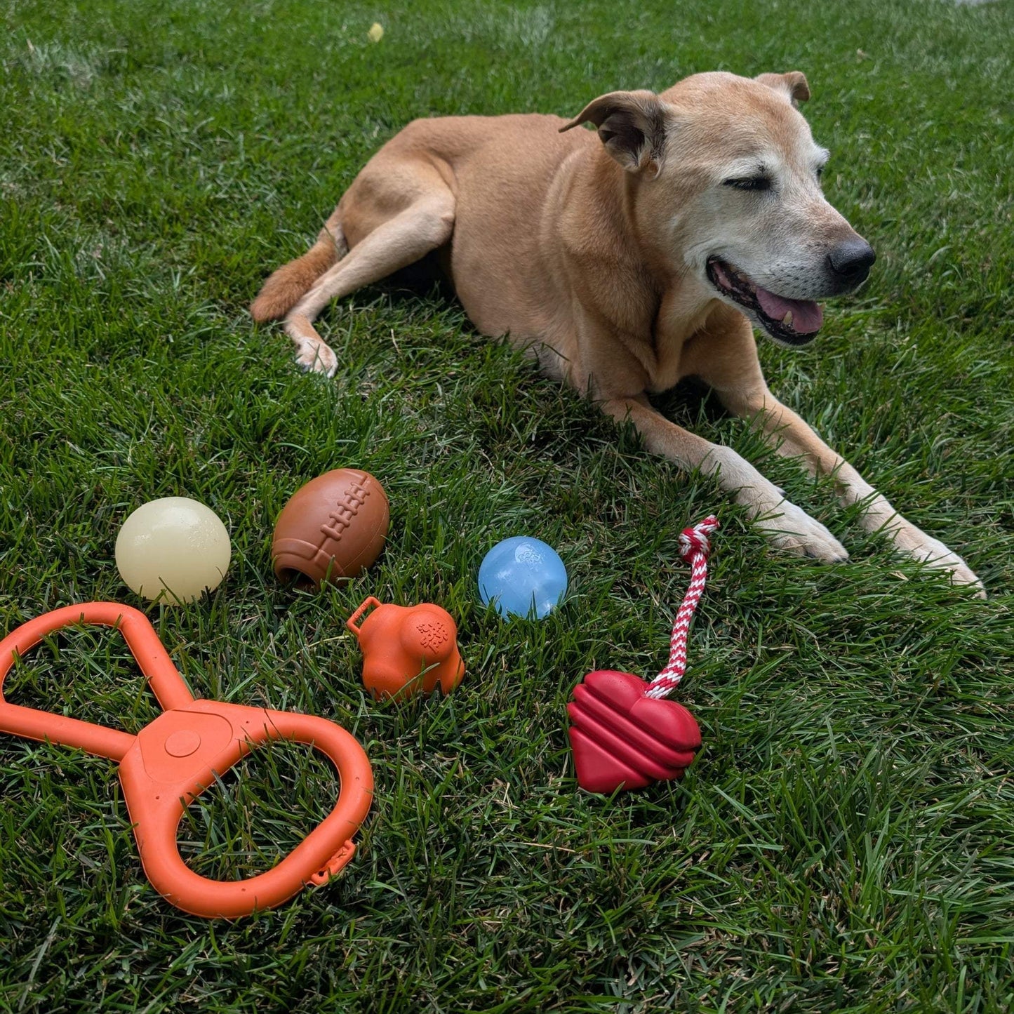 Chew Toys - Farm To Pet - Flyclothing LLC