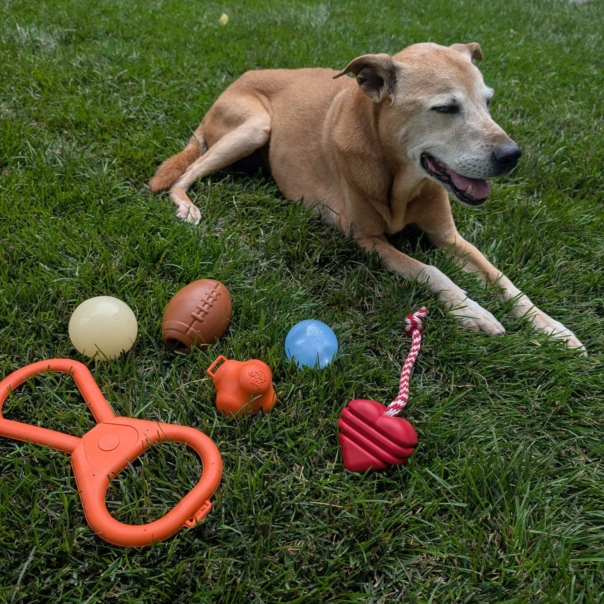 Chew Toys - Farm To Pet - Flyclothing LLC