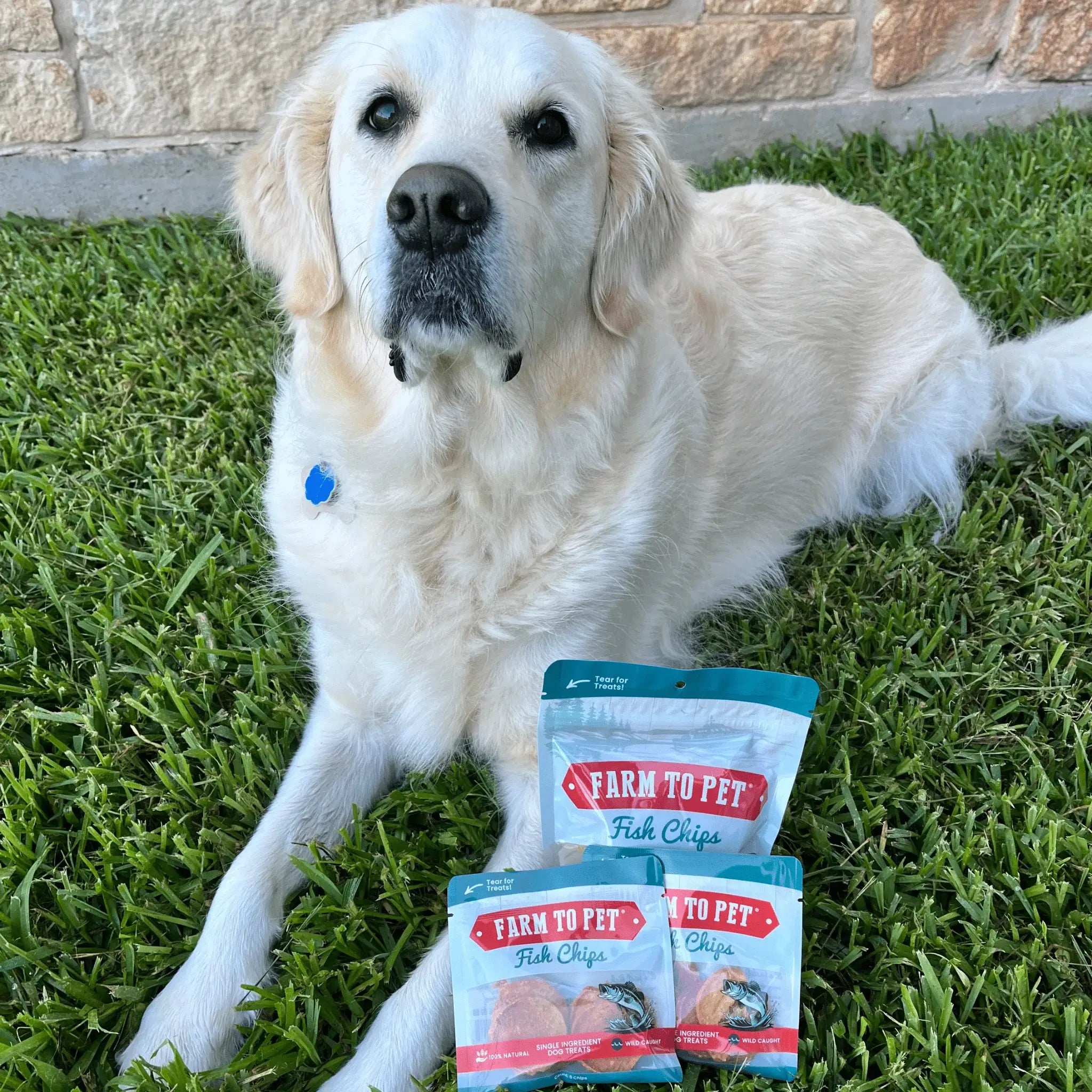 Fish Chips Snack Pack Bundles | Dog Treats for Training & Travel - Farm To Pet - Flyclothing LLC