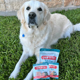 Fish Chips Snack Pack Bundles | Dog Treats for Training & Travel - Farm To Pet - Flyclothing LLC
