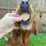 Fish Chips for Dogs | Wild-Caught Fish Dog Treats - Farm To Pet - Flyclothing LLC