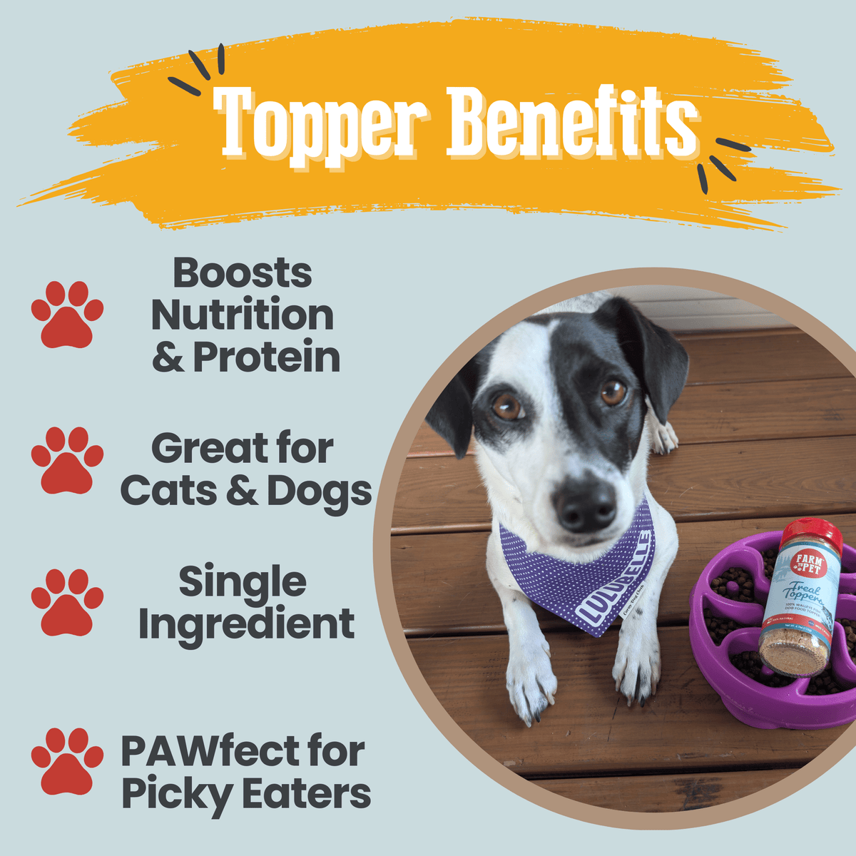Treat Topper Fish Dog Food Topper | Low-Fat Meal Topper for Pets - Farm To Pet - Flyclothing LLC