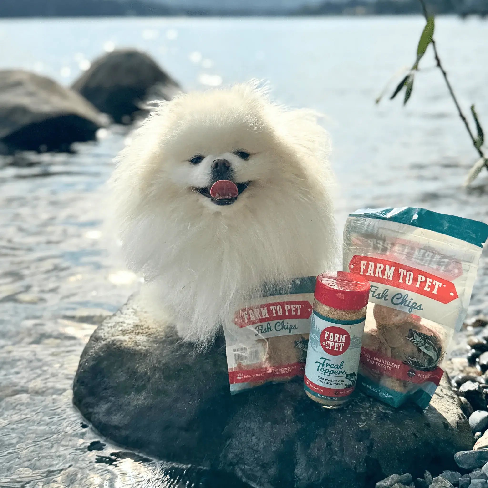 Treat Topper Fish Dog Food Topper | Low-Fat Meal Topper for Pets - Farm To Pet - Flyclothing LLC