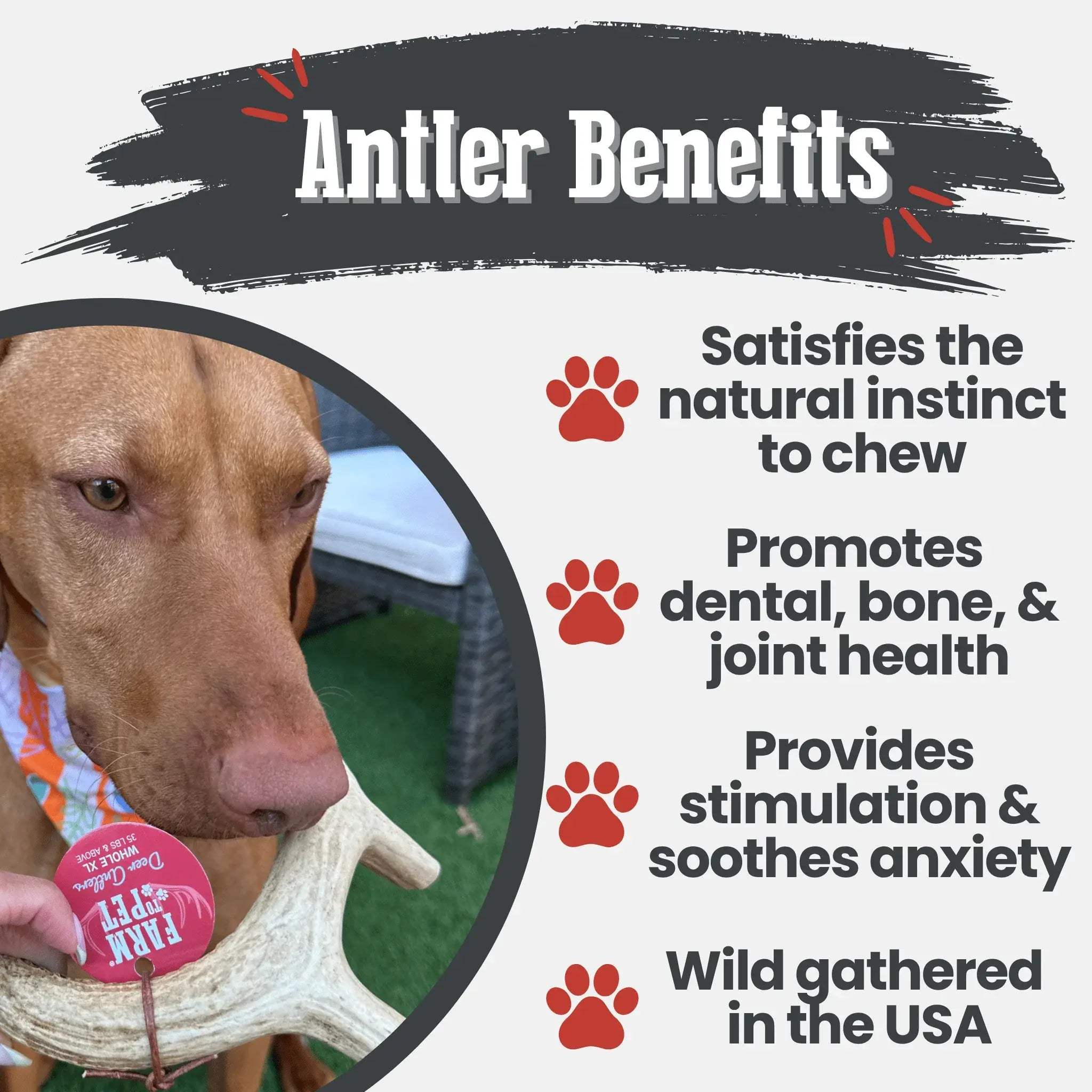 Deer Antler Dog Chews | Organic Chews for Dogs - Farm To Pet - Flyclothing LLC