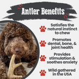 Deer Antler Dog Chews | Organic Chews for Dogs - Farm To Pet - Flyclothing LLC