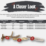 Deer Antler Dog Chews | Organic Chews for Dogs - Farm To Pet - Flyclothing LLC