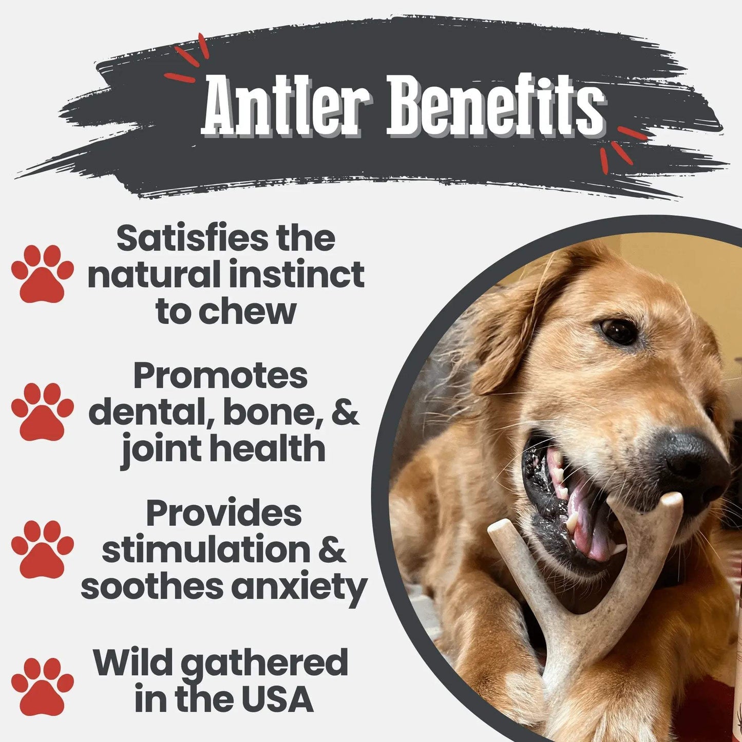 Deer Antler Dog Chews | Organic Chews for Dogs - Farm To Pet - Flyclothing LLC