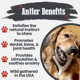 Deer Antler Dog Chews | Organic Chews for Dogs - Farm To Pet - Flyclothing LLC