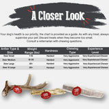 Deer Antler Dog Chews | Organic Chews for Dogs - Farm To Pet - Flyclothing LLC