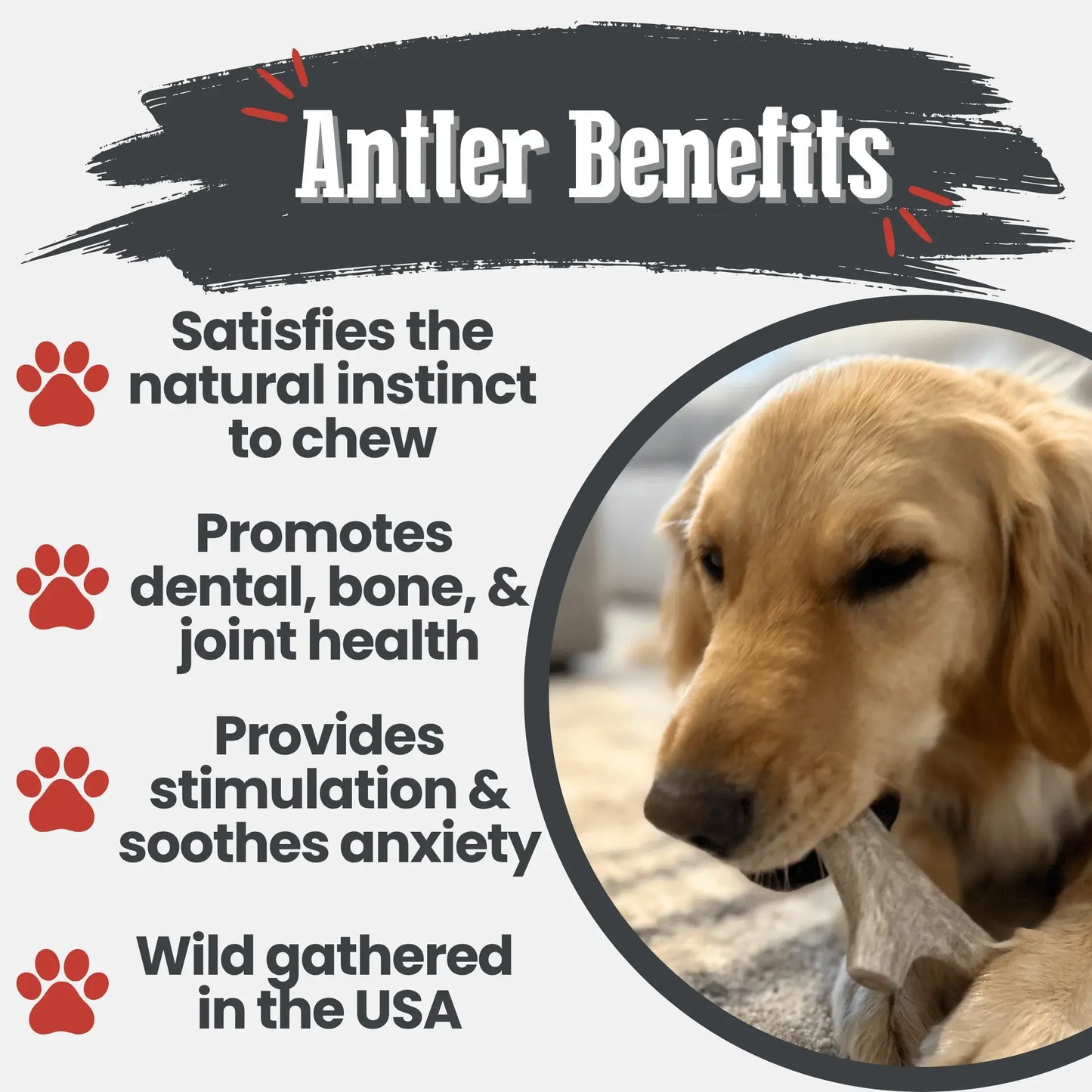 Deer Antler Dog Chews | Organic Chews for Dogs - Farm To Pet - Flyclothing LLC