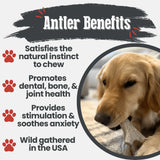 Deer Antler Dog Chews | Organic Chews for Dogs - Farm To Pet - Flyclothing LLC