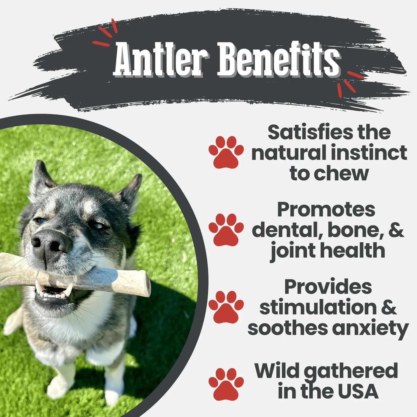 Reindeer Antler Dog Chews | Organic Chews for Dogs - Farm To Pet - Flyclothing LLC
