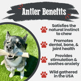 Reindeer Antler Dog Chews | Organic Chews for Dogs - Farm To Pet - Flyclothing LLC