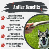 Reindeer Antler Dog Chews | Organic Chews for Dogs - Farm To Pet - Flyclothing LLC