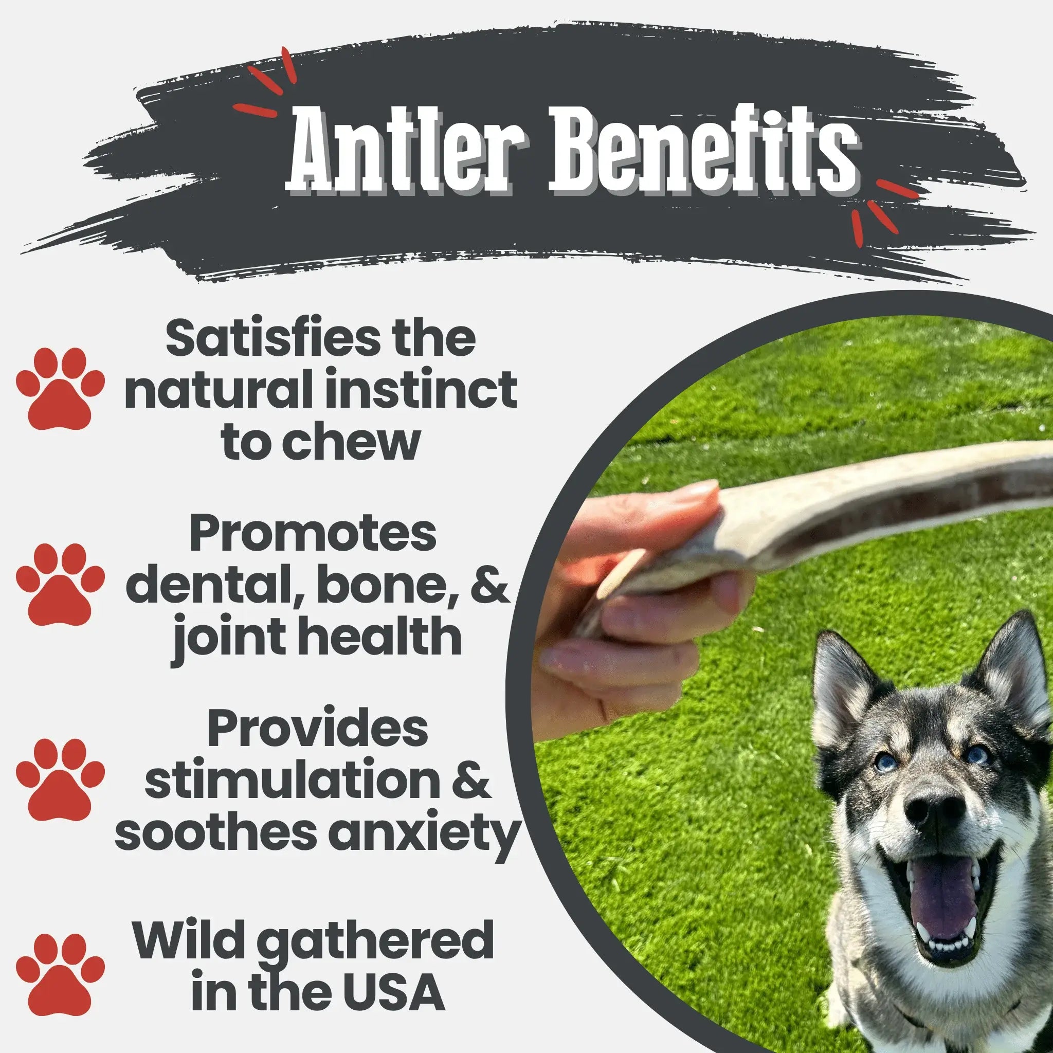 Reindeer Antler Dog Chews | Organic Chews for Dogs - Farm To Pet - Flyclothing LLC