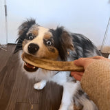 Reindeer Antler Dog Chews | Organic Chews for Dogs - Farm To Pet - Flyclothing LLC