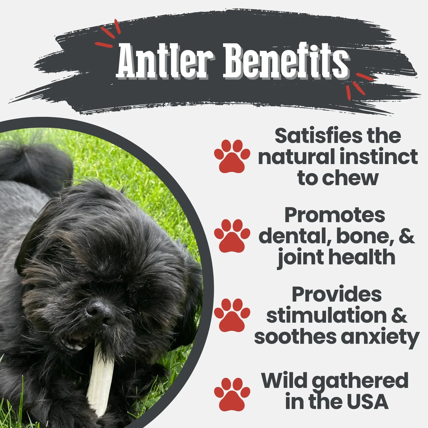 Reindeer Antler Dog Chews | Organic Chews for Dogs - Farm To Pet - Flyclothing LLC
