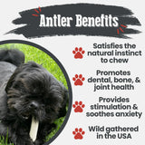 Reindeer Antler Dog Chews | Organic Chews for Dogs - Farm To Pet - Flyclothing LLC