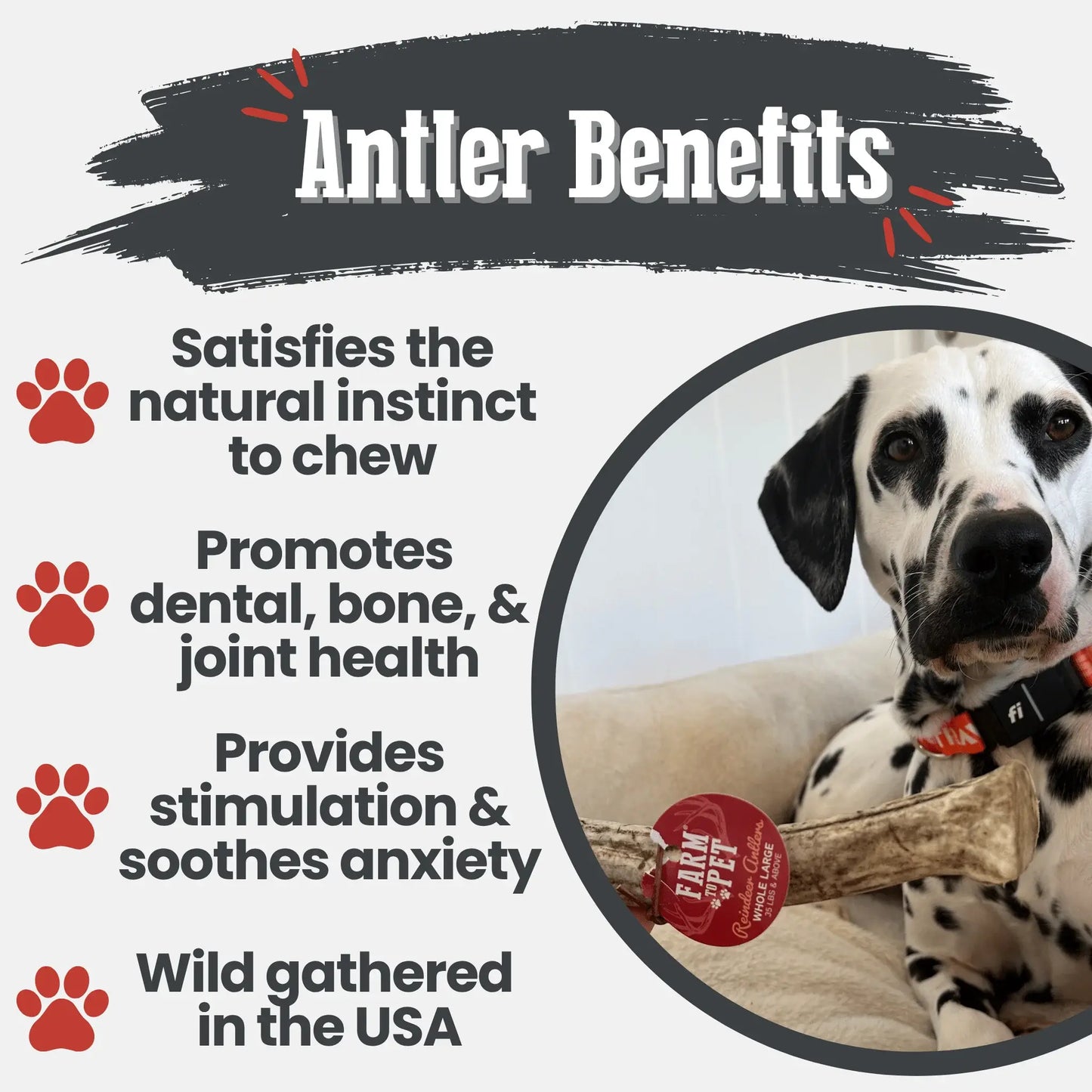 Reindeer Antler Dog Chews | Organic Chews for Dogs - Farm To Pet - Flyclothing LLC