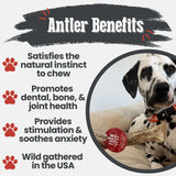 Reindeer Antler Dog Chews | Organic Chews for Dogs - Farm To Pet - Flyclothing LLC