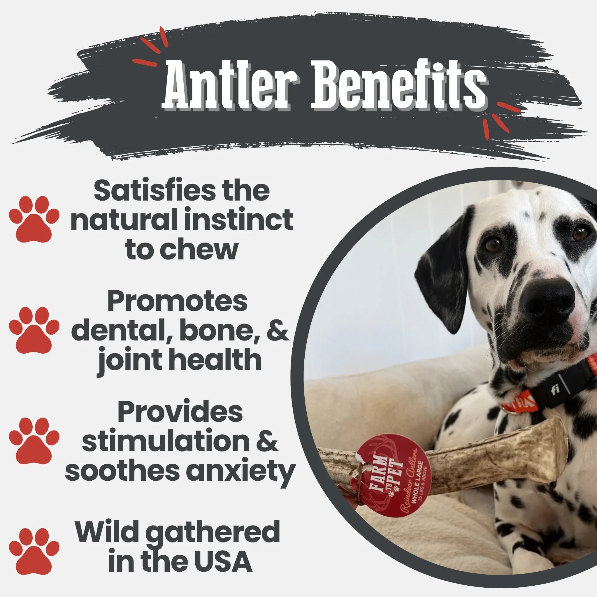 Reindeer Antler Dog Chews | Organic Chews for Dogs - Farm To Pet - Flyclothing LLC