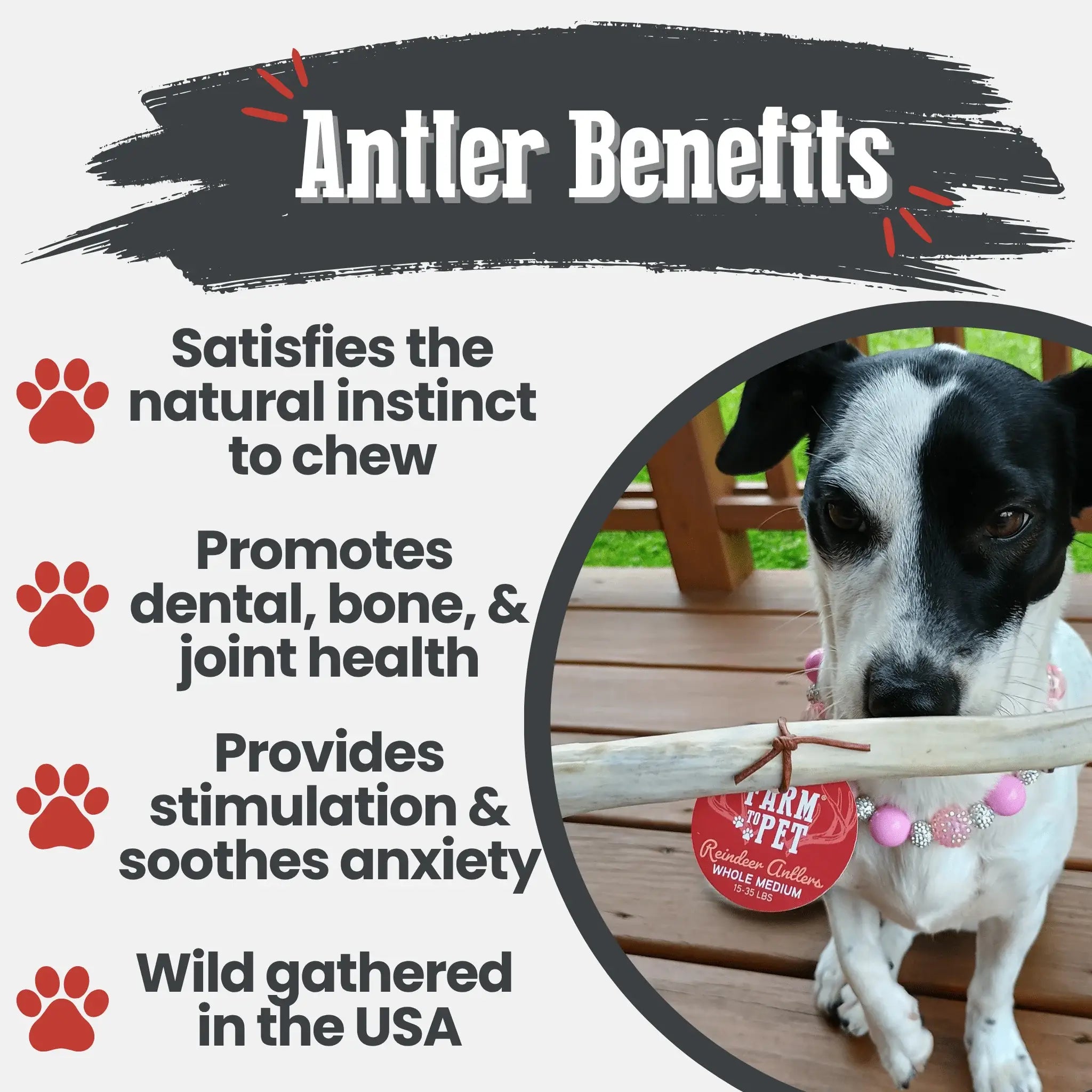 Reindeer Antler Dog Chews | Organic Chews for Dogs - Farm To Pet - Flyclothing LLC