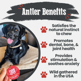 Reindeer Antler Dog Chews | Organic Chews for Dogs - Farm To Pet - Flyclothing LLC