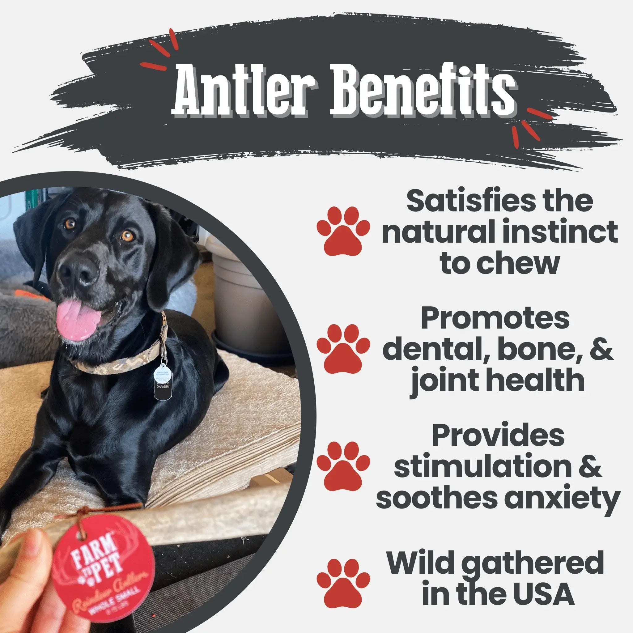 Reindeer Antler Dog Chews | Organic Chews for Dogs - Farm To Pet - Flyclothing LLC
