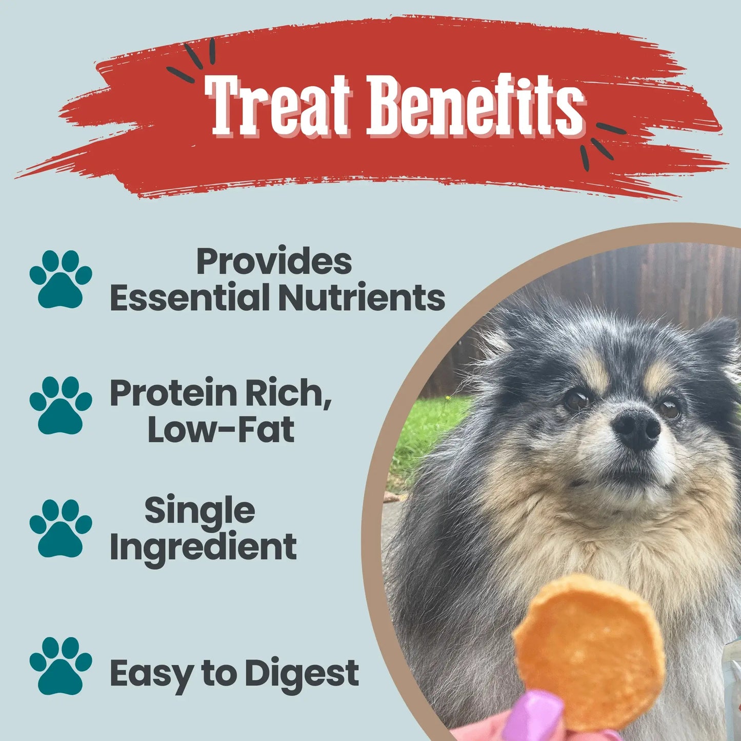 Fish Chips Snack Pack Bundles | Dog Treats for Training & Travel - Farm To Pet - Flyclothing LLC