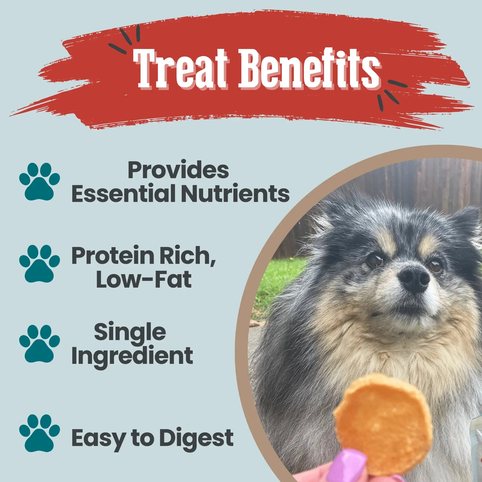 Fish Chips Snack Pack Bundles | Dog Treats for Training & Travel - Farm To Pet - Flyclothing LLC