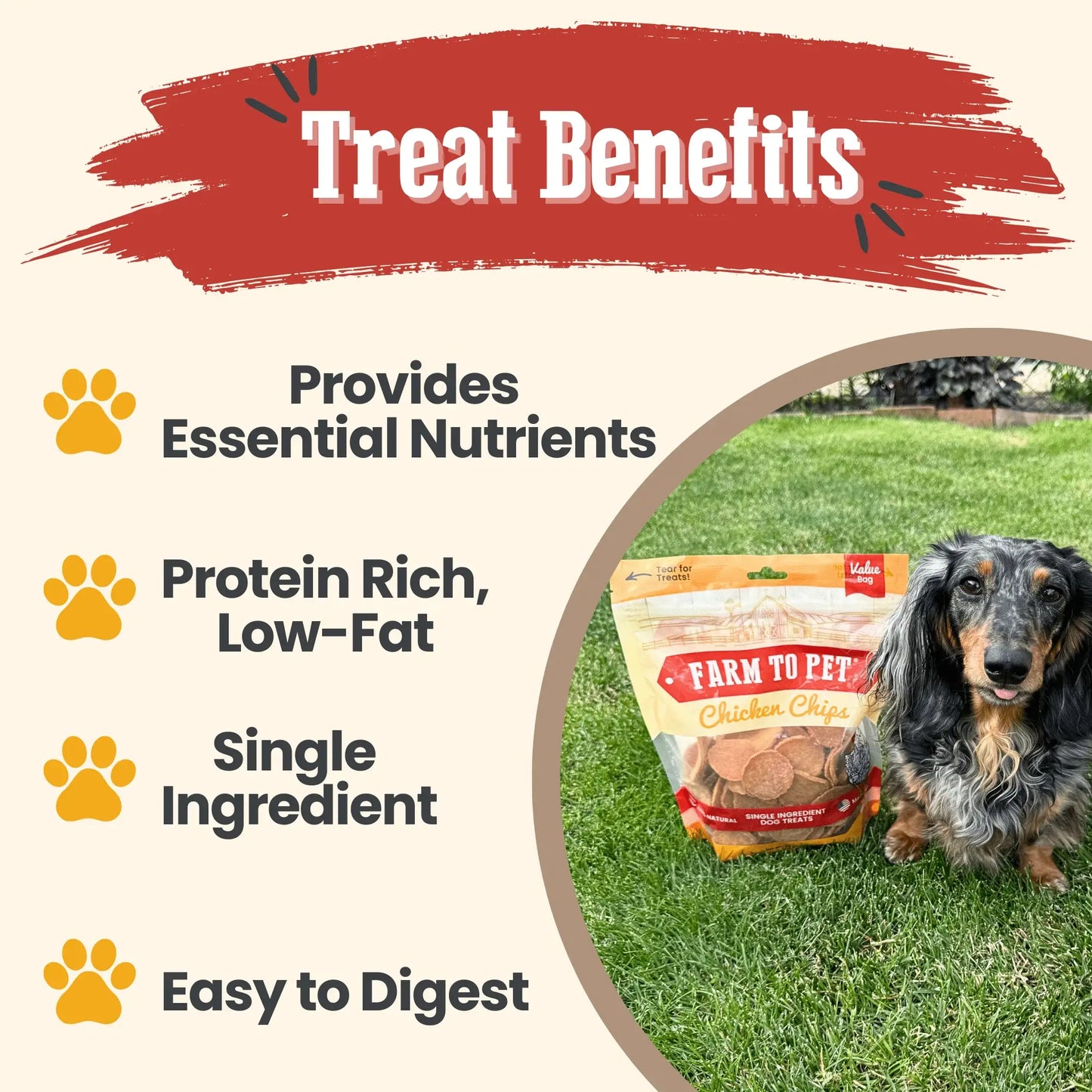 Chicken Chips for Dogs | All-Natural Single-Ingredient Dog Treats - Farm To Pet - Flyclothing LLC