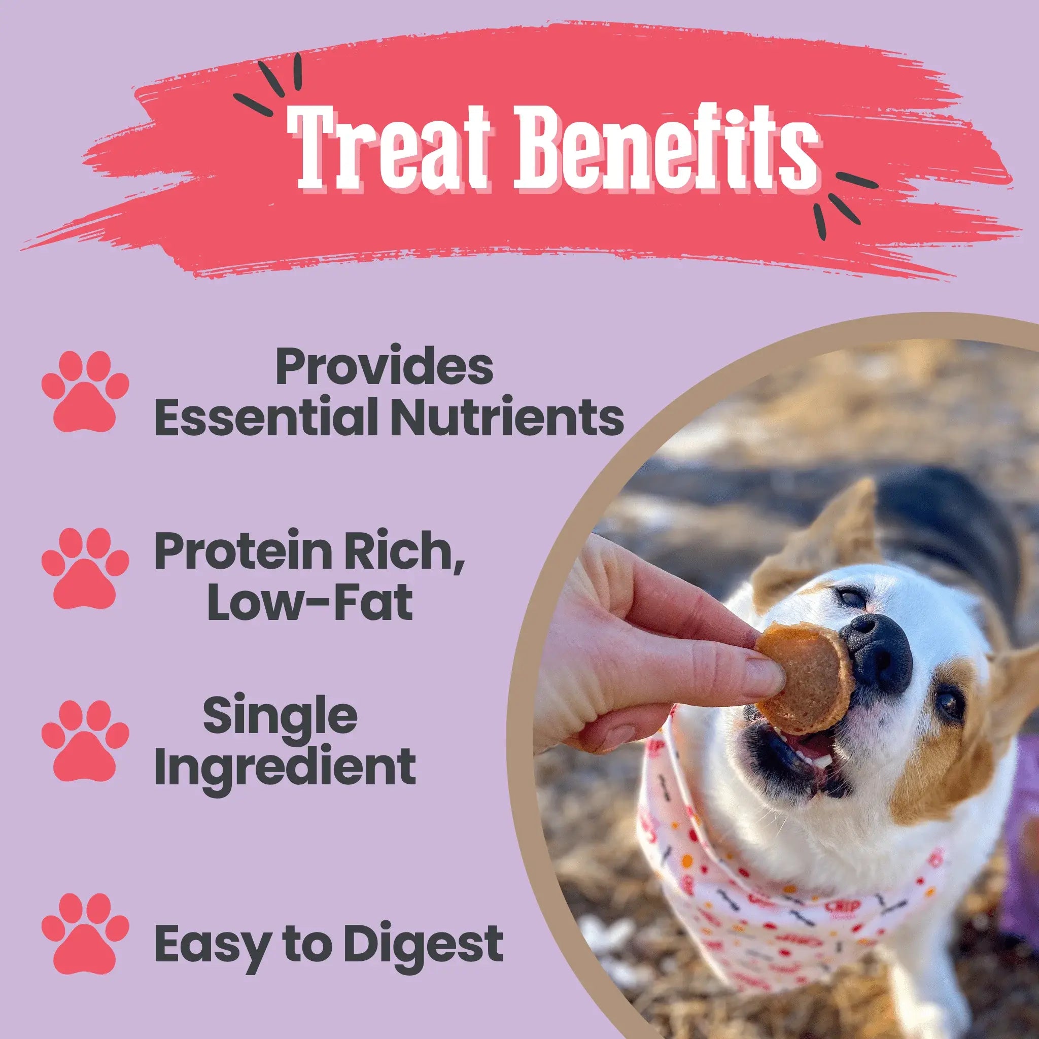 Puppy Love Dog Treat Duo | Poultry Chip Variety Pack - Farm To Pet - Flyclothing LLC