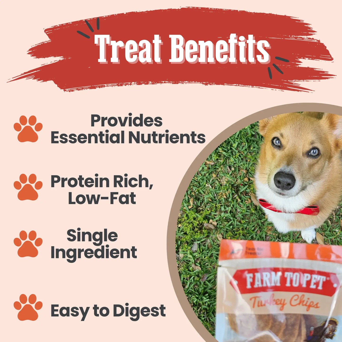 Turkey Chips Snack Pack Bundles | Low Allergen Treats for Training - Farm To Pet - Flyclothing LLC