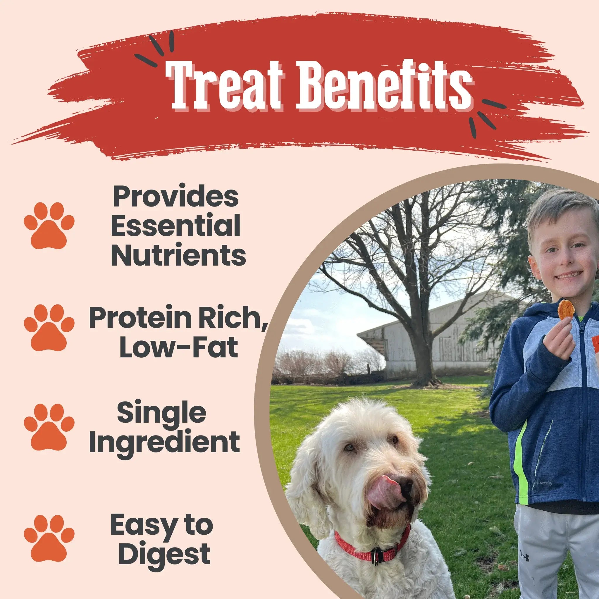 Turkey Chips for Dogs | All-Natural Single-Ingredient Healthy Dog Treats - Farm To Pet - Flyclothing LLC
