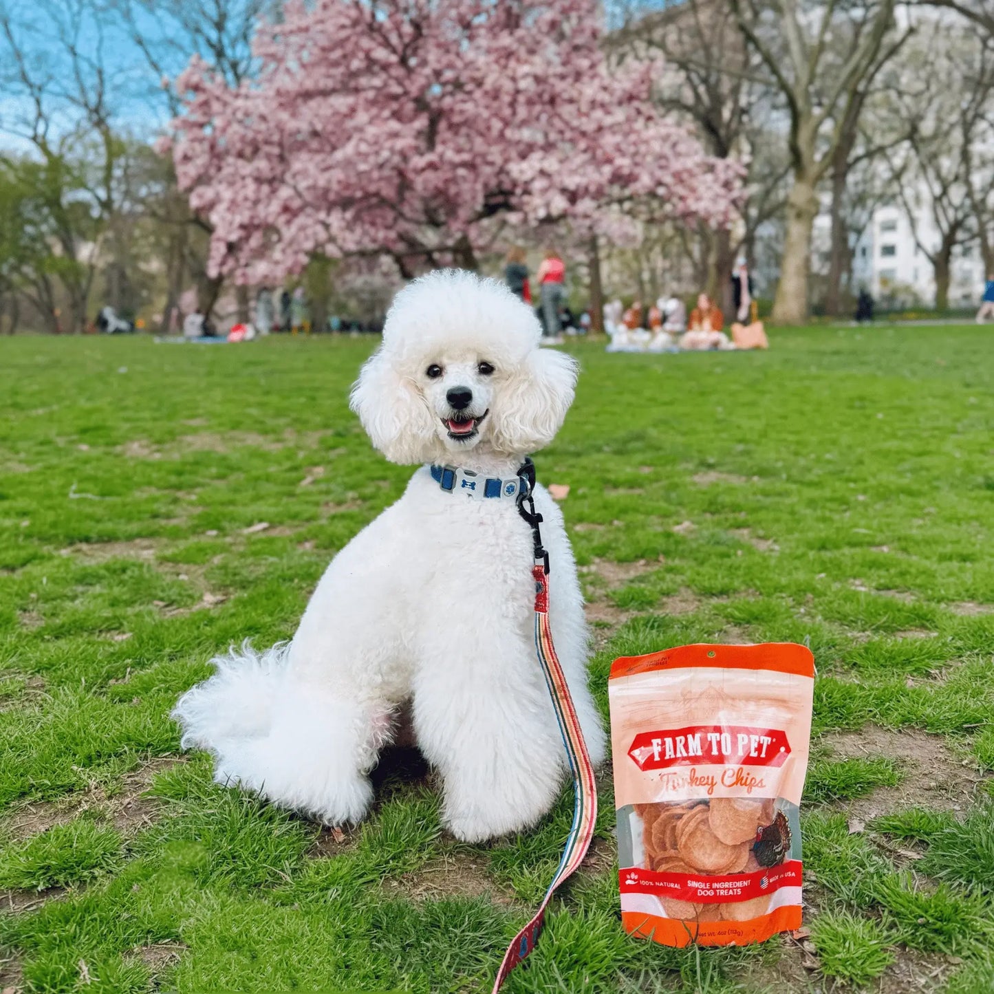 Turkey Chips for Dogs | All-Natural Single-Ingredient Healthy Dog Treats - Farm To Pet - Flyclothing LLC