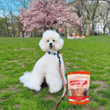 Turkey Chips for Dogs | All-Natural Single-Ingredient Healthy Dog Treats - Farm To Pet - Flyclothing LLC