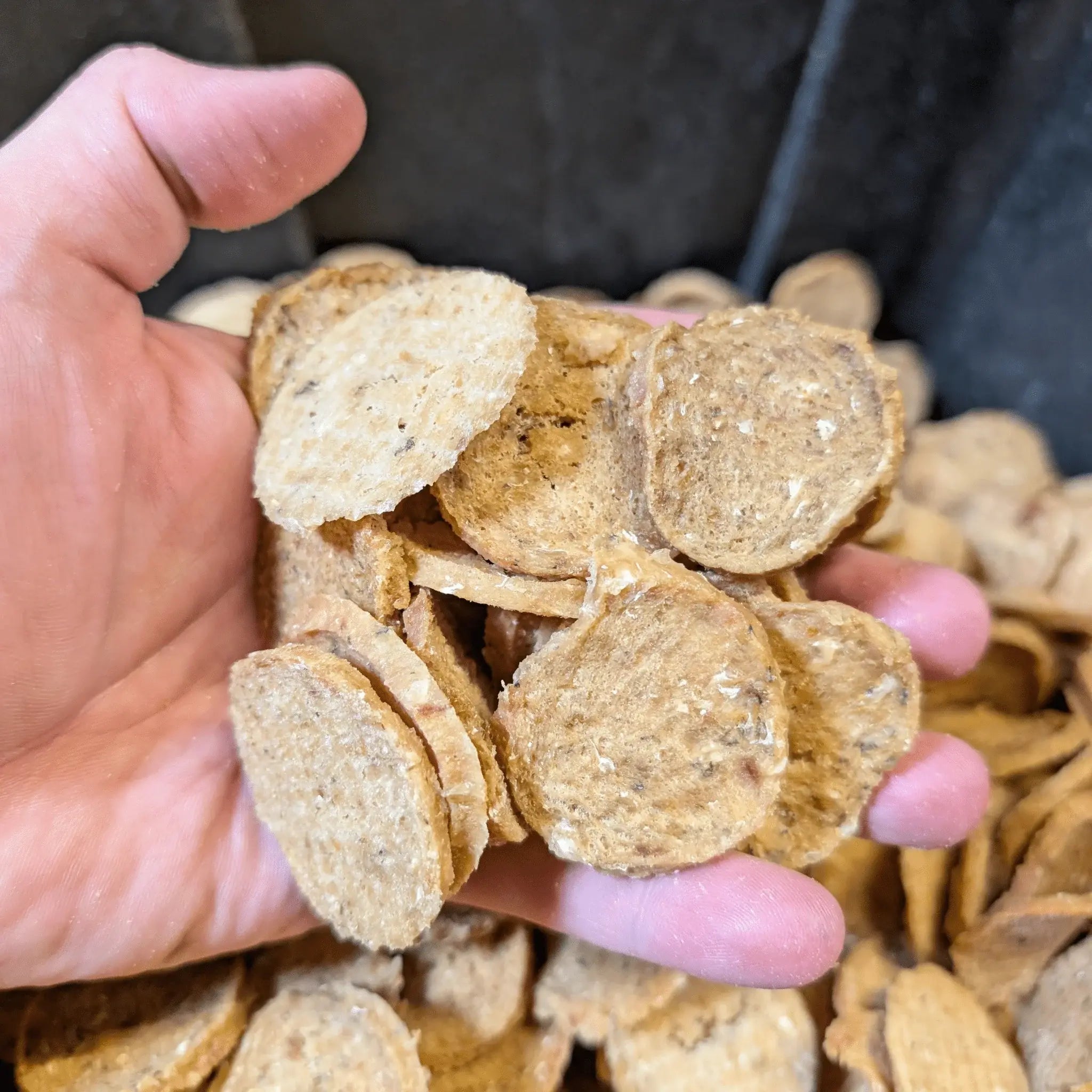 Fish Chips for Dogs | Wild-Caught Fish Dog Treats - Farm To Pet - Flyclothing LLC