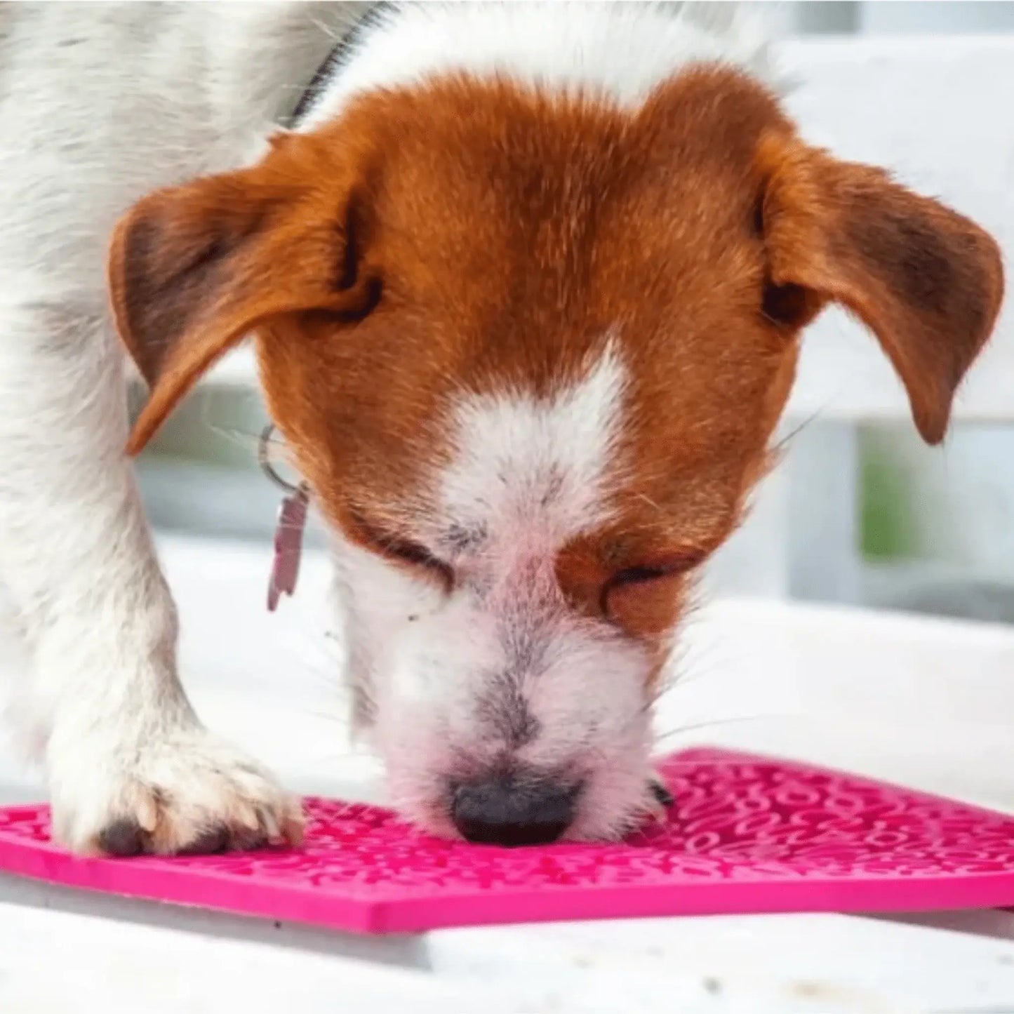 Lick Mats for Cats and Small Dogs - Farm To Pet - Flyclothing LLC