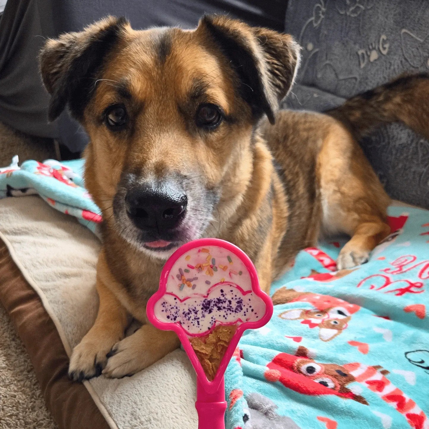 Lick Sticks | Interactive Dog Training Toy - Farm To Pet - Flyclothing LLC