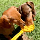 Lick Sticks | Interactive Dog Training Toy - Farm To Pet - Flyclothing LLC