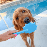 Lick Sticks | Interactive Dog Training Toy - Farm To Pet - Flyclothing LLC